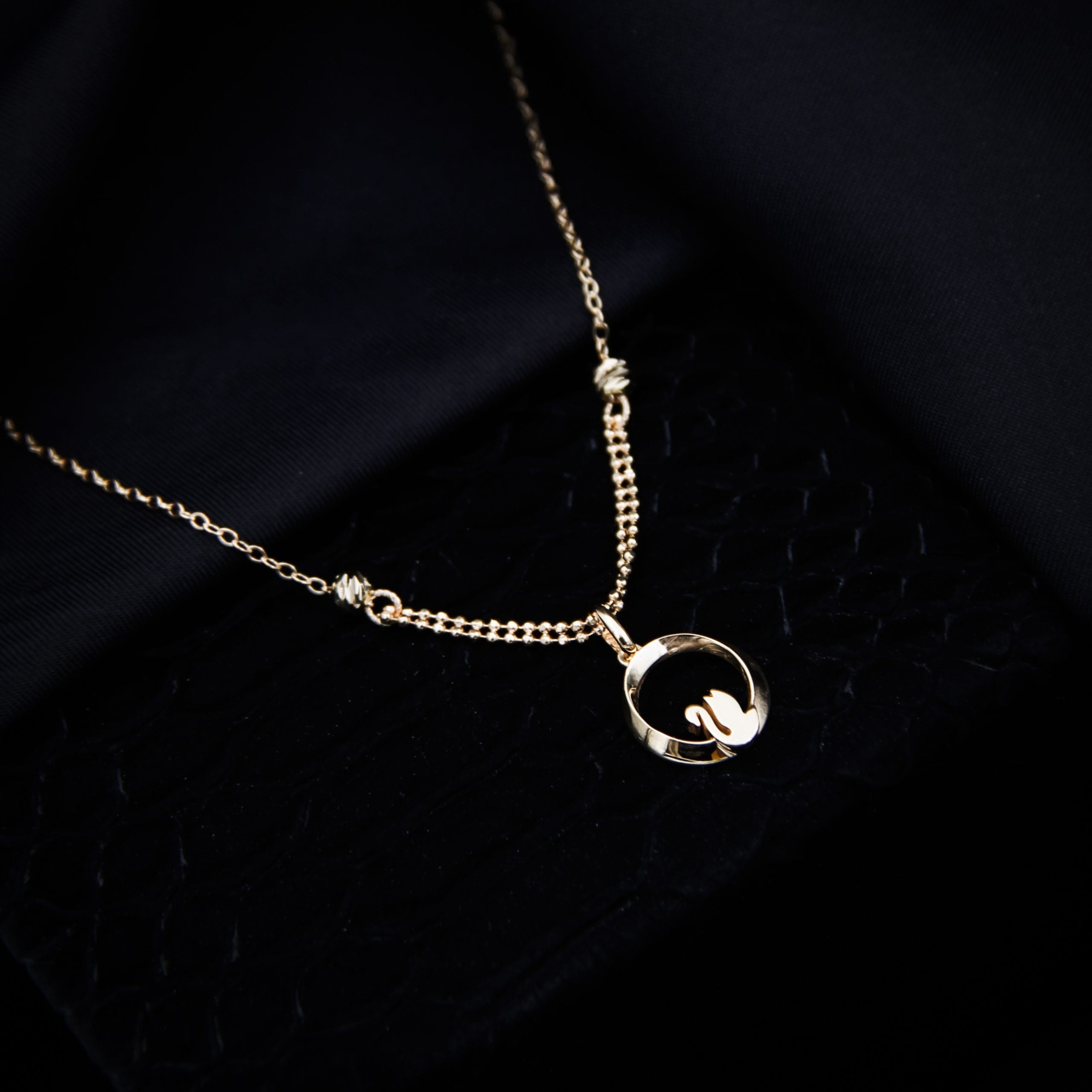 ۲۰۲۵۰۹۱۶-_MG_0745